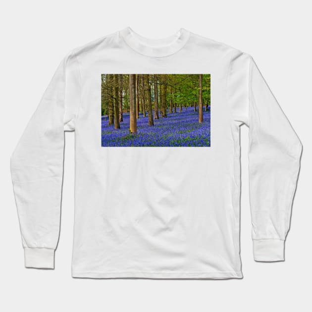 Bluebell Woods Greys Court Oxfordshire UK Long Sleeve T-Shirt by AndyEvansPhotos